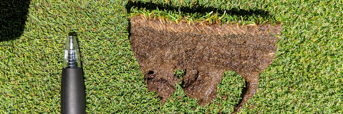 http://files.harrells.com/www/EarthMAX root pic.jpg
